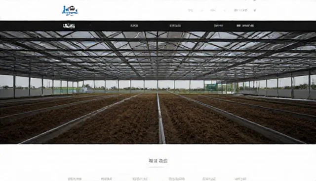 官网建设选型关注点及优化建议